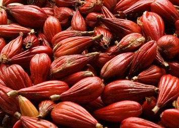 annatto